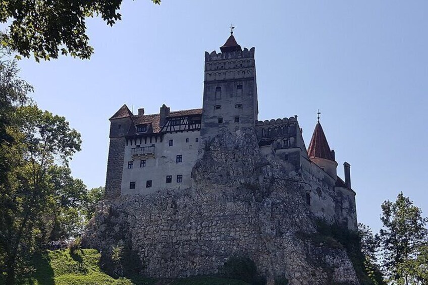 Bears Sanctuary, Dracula Castle and Brasov City - Full Day Trip from Bucharest 3