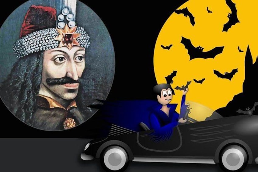 Bears Sanctuary, Dracula Castle and Brasov City - Full Day Trip from Bucharest 5