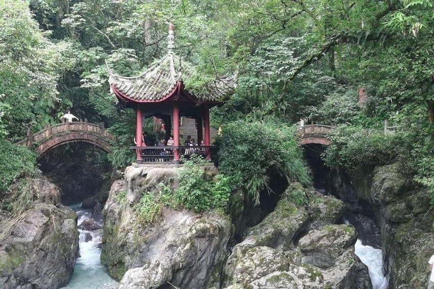 Private Full-day Trip: Leshan Giant Buddha&Emeishan Scenic Resort 2