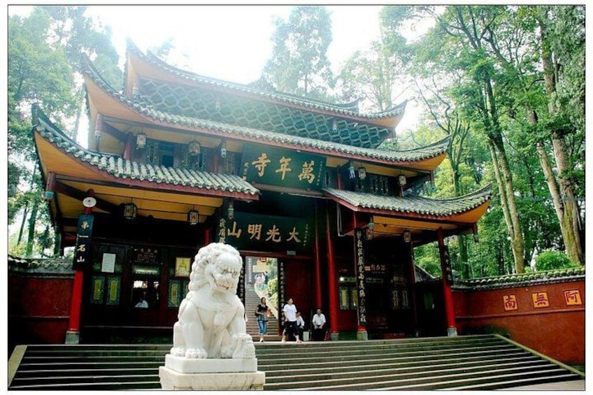 Private Full-day Trip: Leshan Giant Buddha&Emeishan Scenic Resort 5