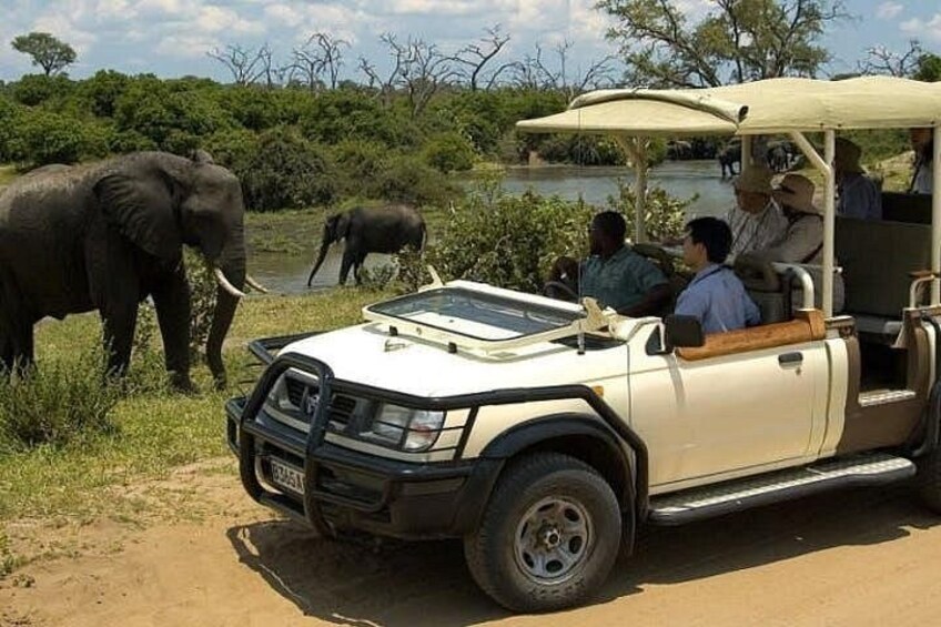 Safari-køretøj med passagerer, der observerer elefanter i et naturligt landskab. 2