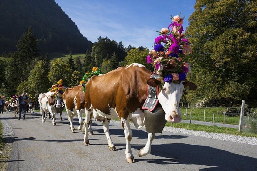 Bern Old Town & Emmental Cheese Tour from Zurich with Tastings 4