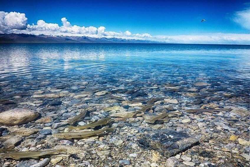 A clear lake with visible rocks and a distant mountain range. 4