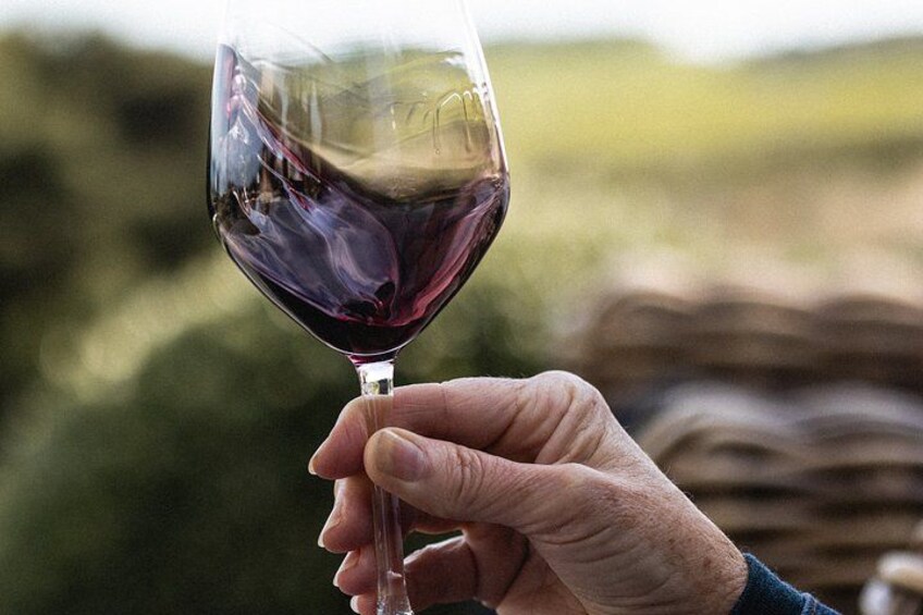 A hand holding a wine glass with a purple liquid, set against a blurred natural landscape. 2