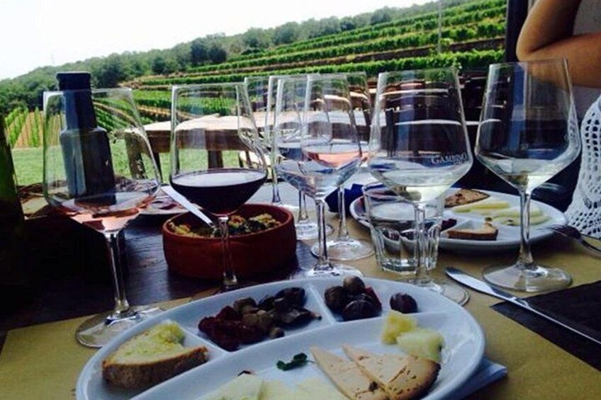 Etna trekking and wine tasting 2