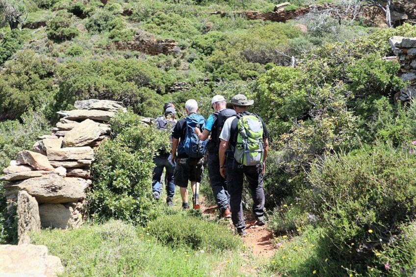 A group of hikers on a rocky trail surrounded by greenery. 1