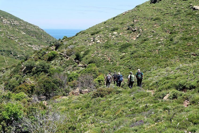 Remata Valley 5