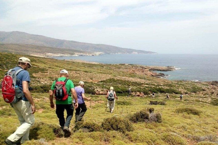 Hikers on a grassy hillside with a coastal view. 3