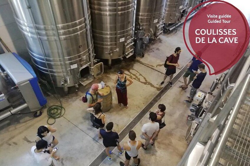 A tasting in the tank 5