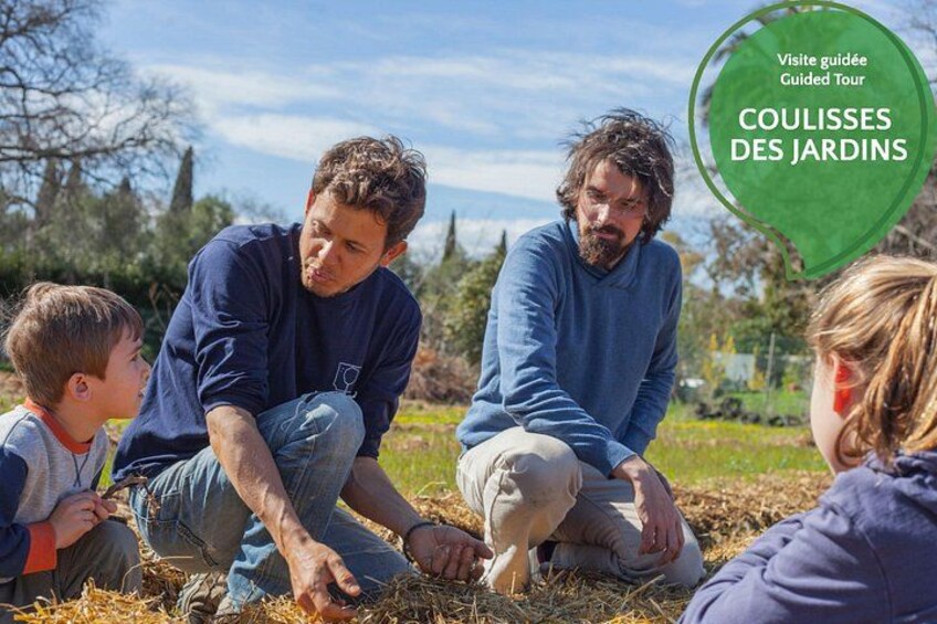 The Oasis Citadine Permaculture Farm 3