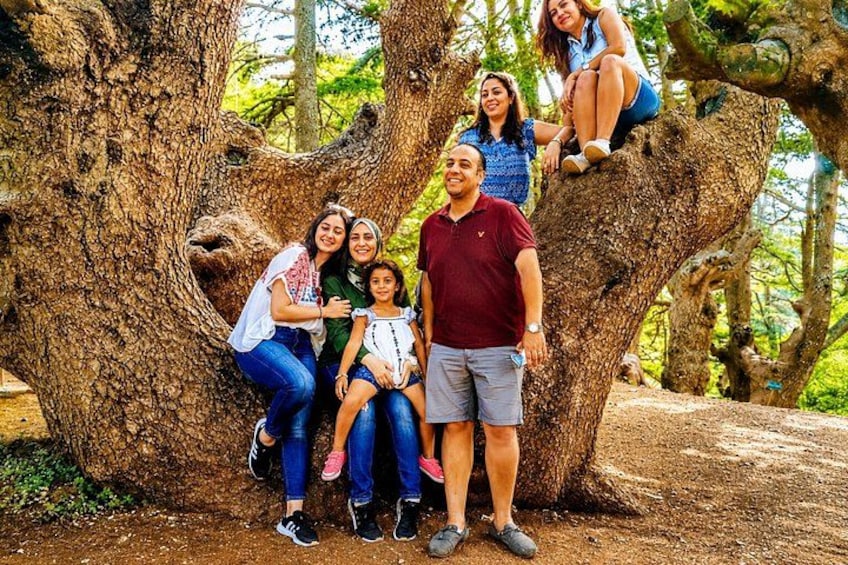 Private Shouf Cedars, Baalbek & Ksara | Local Guide in Baalbek 3