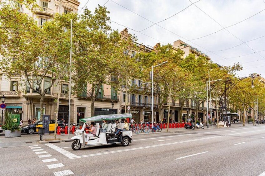 A street with a white car, trees, and buildings. 4
