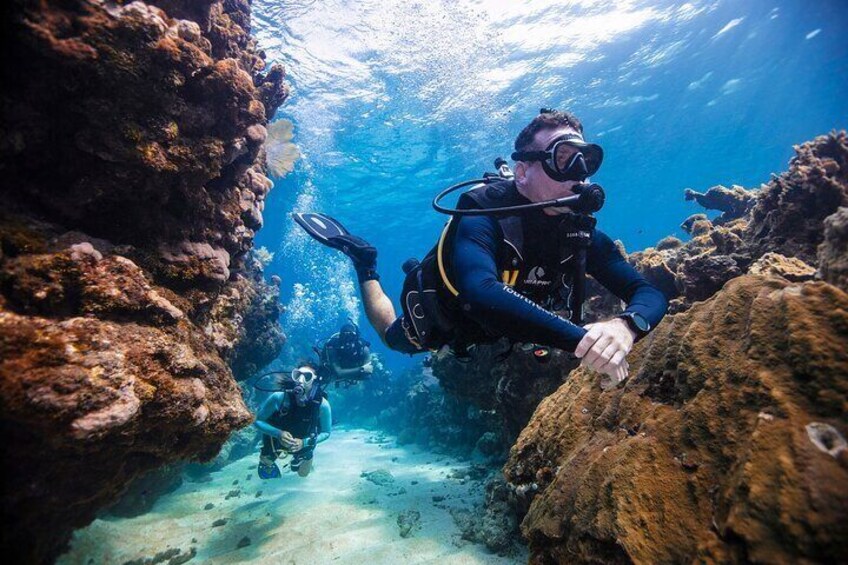 Discover Scuba Diving in Palamos