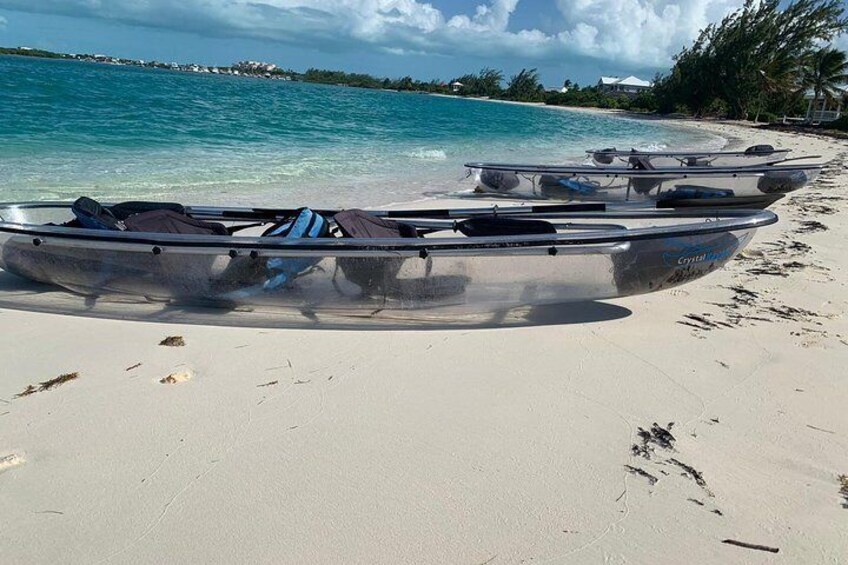 Mangrove & Iguana Island Clear Kayak Tour