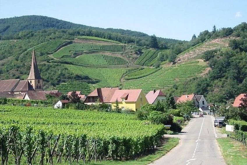 Ländliche Landschaft mit Weinbergen, einer Kirche und Häusern. 3