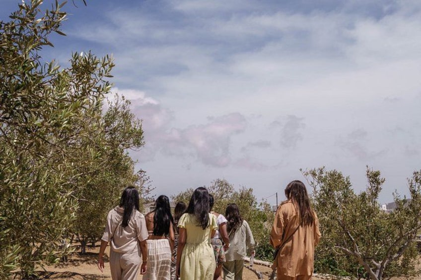 Tour and Wine Tasting in Mykonian Land 2