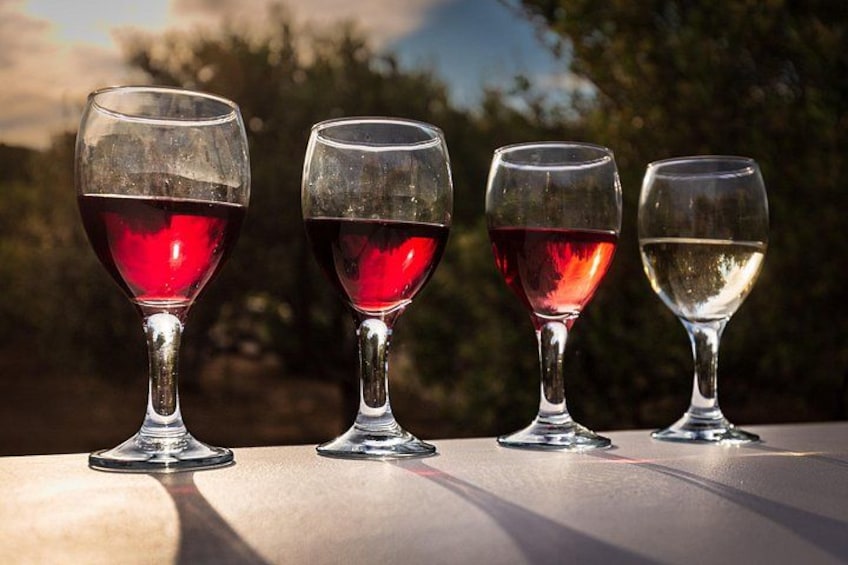 Tour and Wine Tasting in Mykonian Land 2