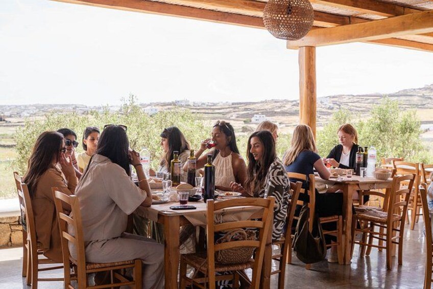 Tour and Wine Tasting in Mykonian Land 2