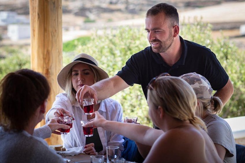 Tour and Wine Tasting in Mykonian Land 2