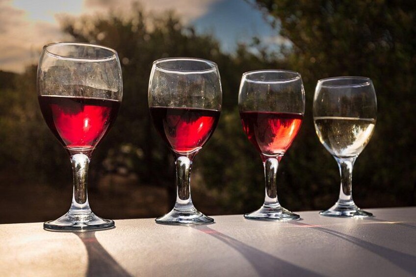 Tour and Wine Tasting in Mykonian Land 2