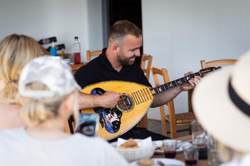 Tour and Wine Tasting in Mykonian Land 3