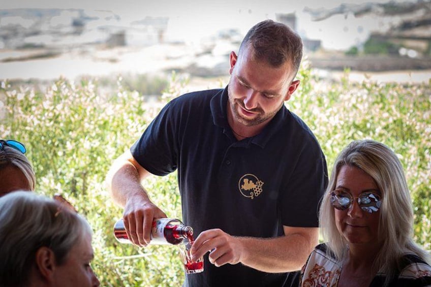 Tour and Wine Tasting in Mykonian Land 4