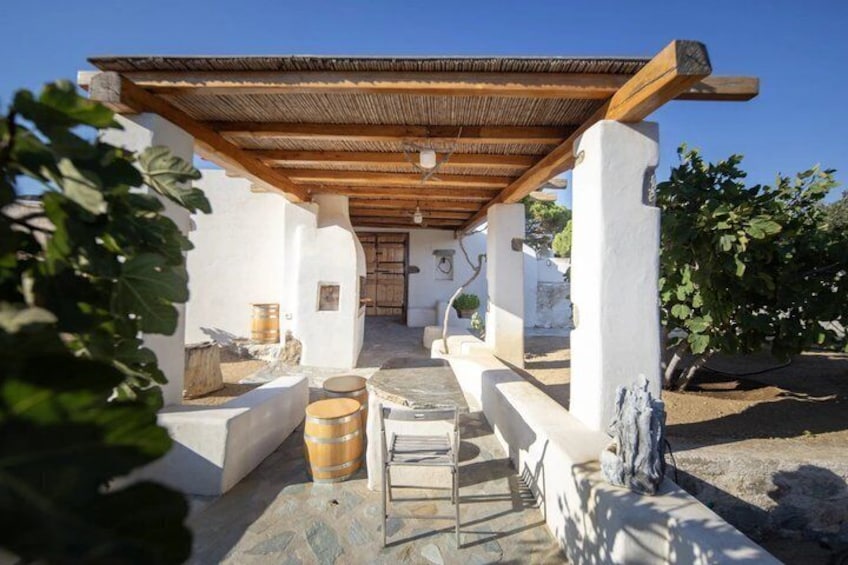 Tour and Wine Tasting in Mykonian Land 5