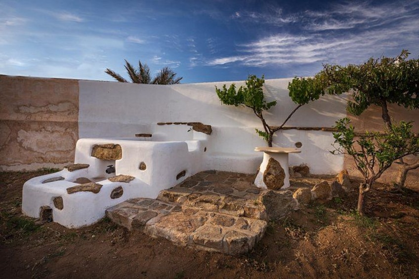 Tour and Wine Tasting in Mykonian Land 3