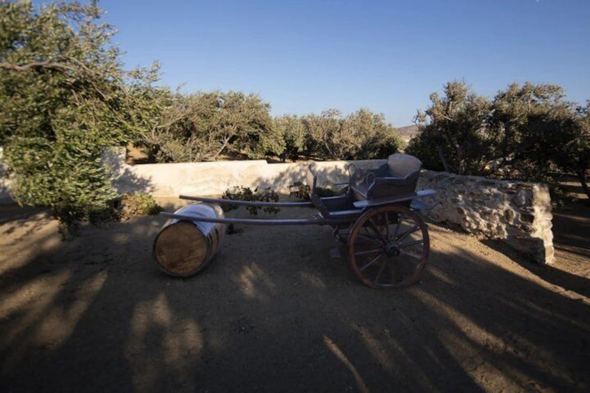 Tour and Wine Tasting in Mykonian Land 2