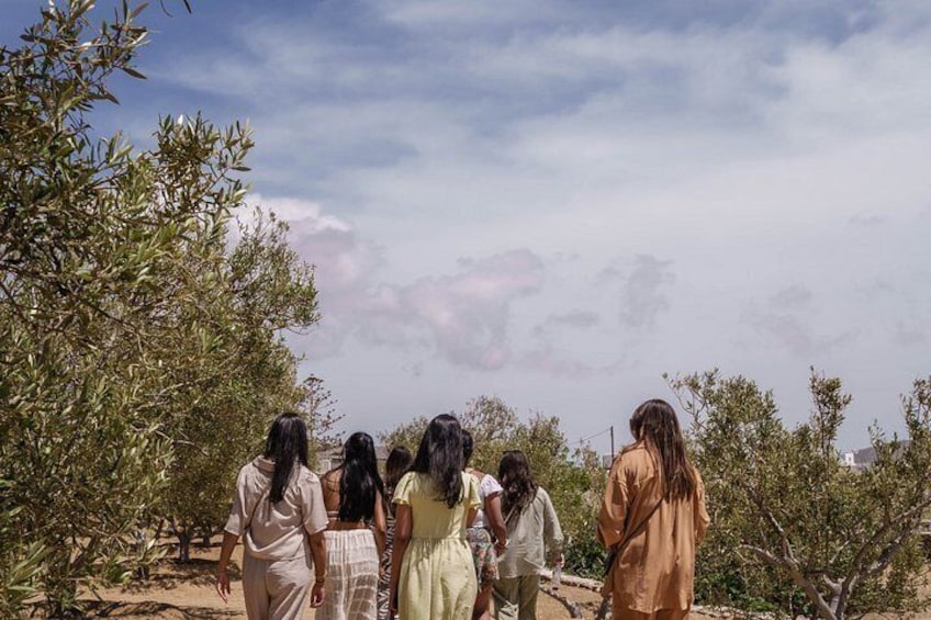 Tour and Wine Tasting in Mykonian Land 2