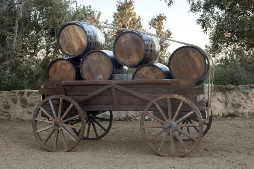 Tour and Wine Tasting in Mykonian Land 3