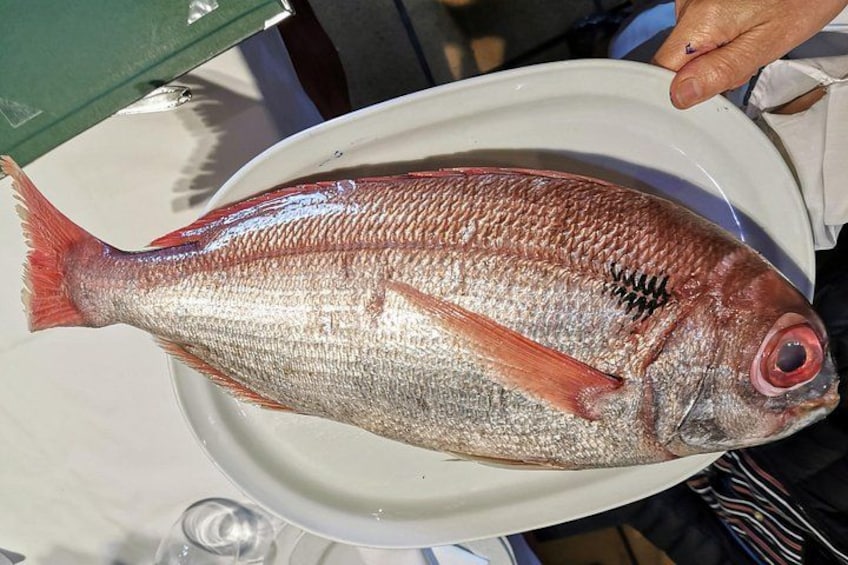 Private Cliffs, Grilled Fish & Txakoli Wine Experience 4