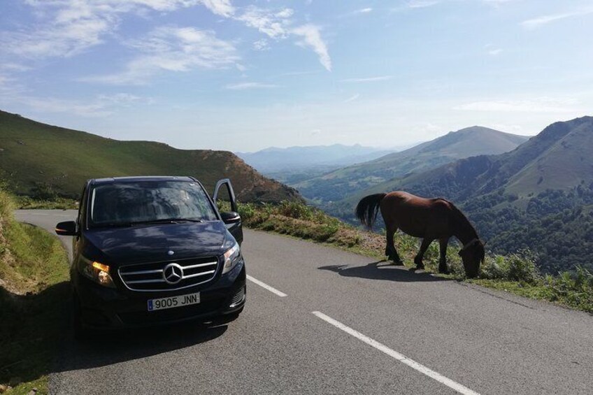 Unspoiled FRENCH BASQUE COUNTRYSIDE - Private Cultural Adeventure