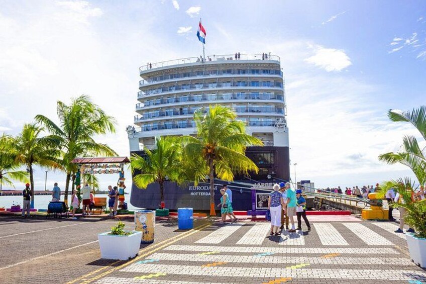 A cruise ship docked at a port with palm trees and a pedestrian walkway. 3