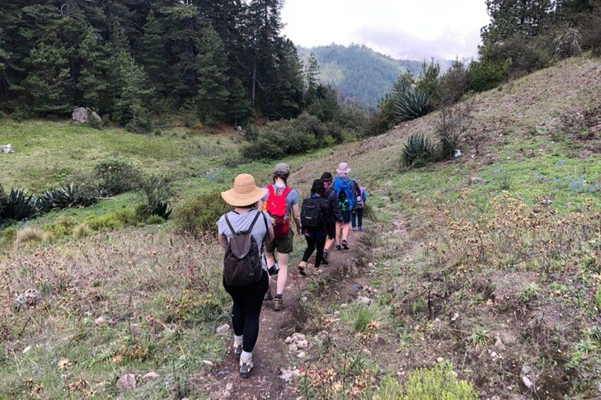 Hike el Camino Real, Latuvi – Lachatao 2