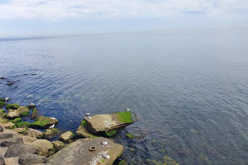 Full-Day Private Tour to the Black Sea from Bucharest 4