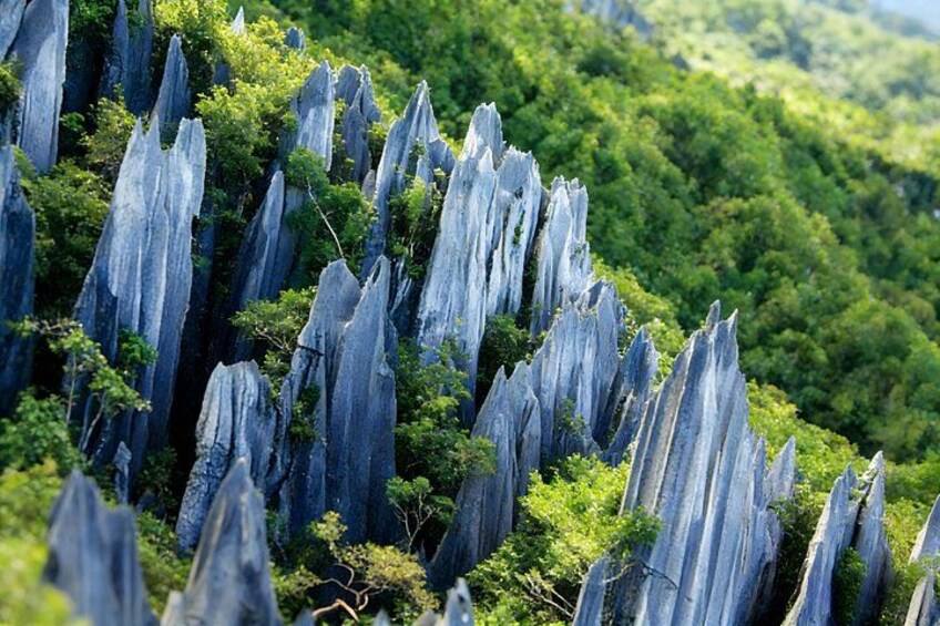 5-Day Private Yunnan Discovery: Kunming, Dali, Shaxi and Lijiang 2