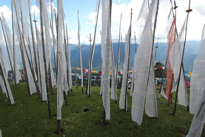 A grassy area with numerous white flags on poles, a mountainous backdrop, and colorful prayer flags in the distance. 1