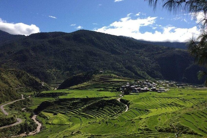 Terraced fields, a winding road, and a mountain range. 2