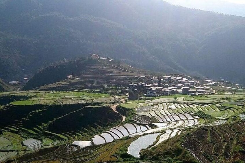 Terraced rice fields, a river, and a village in a hilly landscape. 5