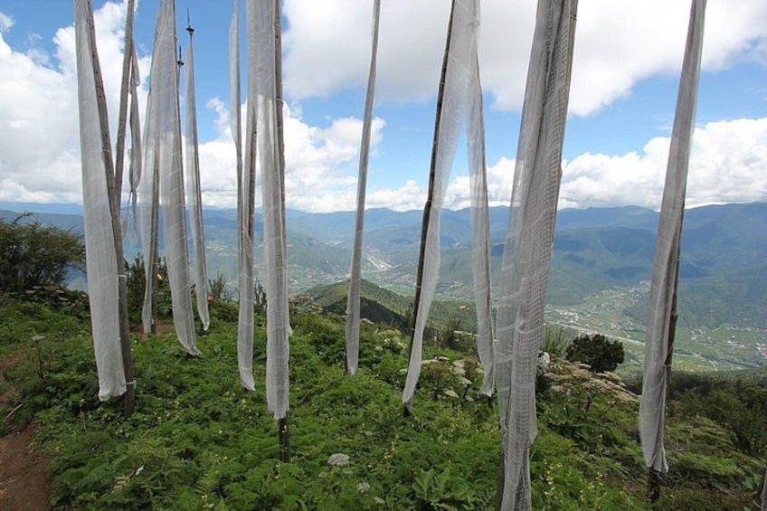 A landscape with hanging white fabric strips, green vegetation, and a distant view of mountains. 4