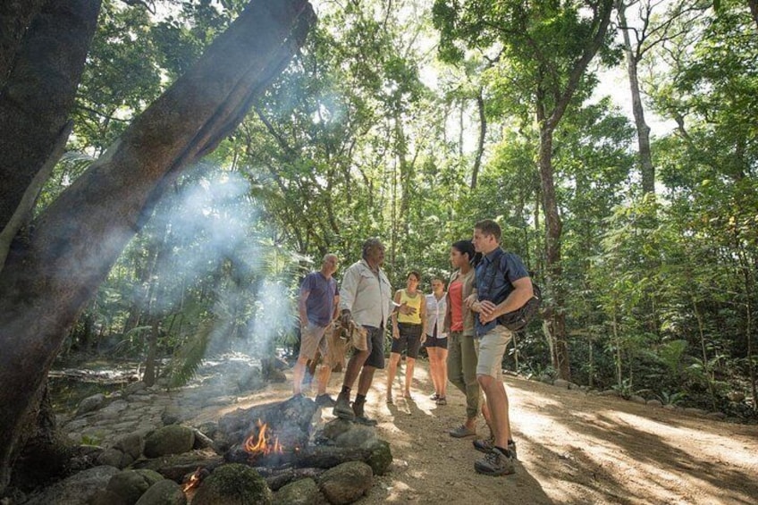 Mossman Gorge Adventure Day 2