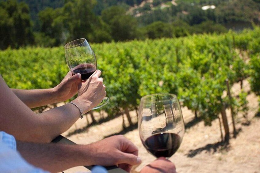 Winery Tour and tasting 2