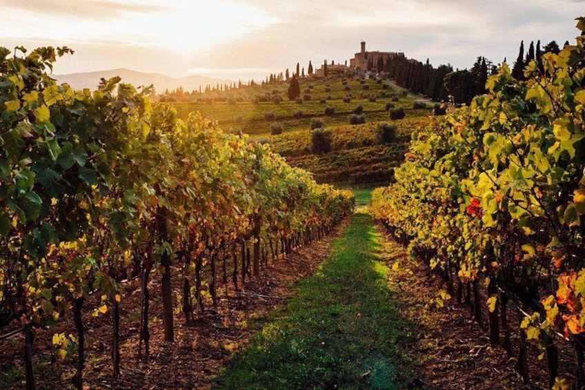 Winery Tour and tasting 1