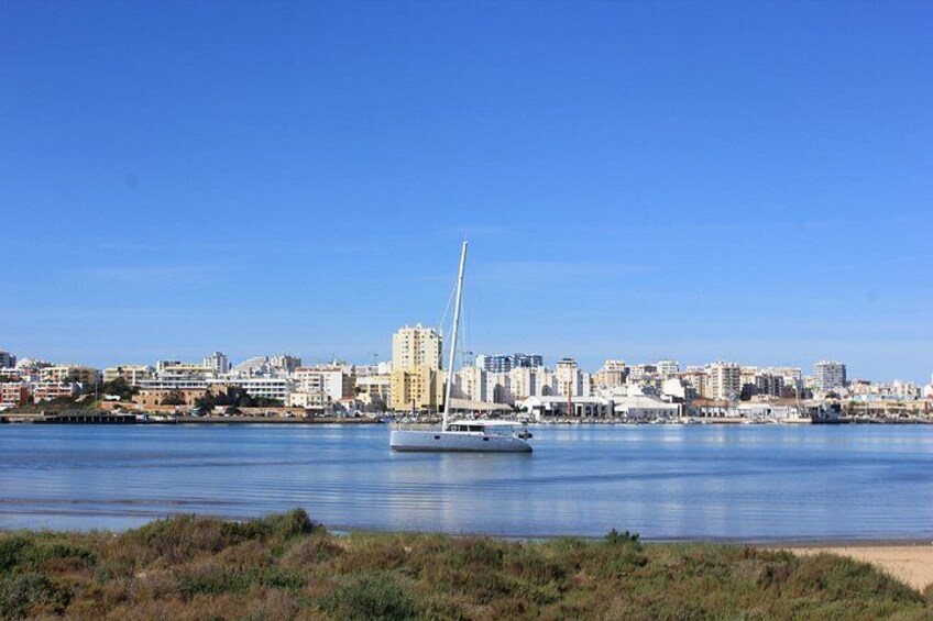 Un horizonte urbano con un velero sobre el agua. 3