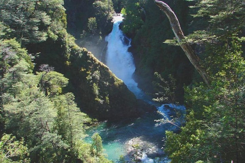 A waterfall surrounded by dense forest. 1