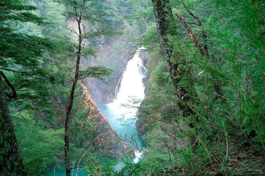 A waterfall surrounded by dense forest. 4