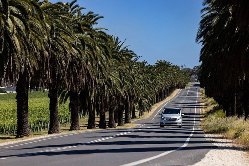 A road lined with palm trees, a car driving on the road, and a clear blue sky. 3