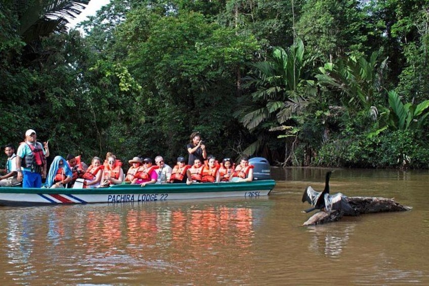 A boat with passengers wearing life jackets on a river surrounded by dense greenery. 5
