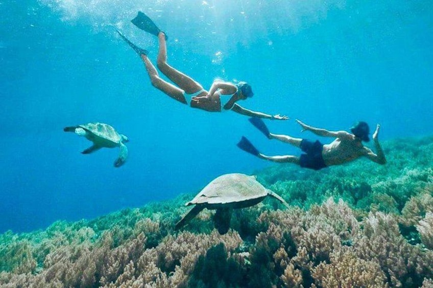Three people scuba diving underwater with turtles and coral reefs. 3
